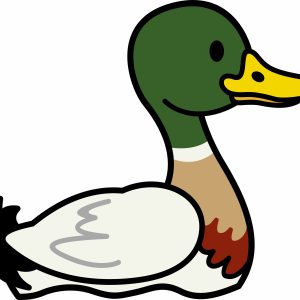 Duck Insert .80 x .70cm